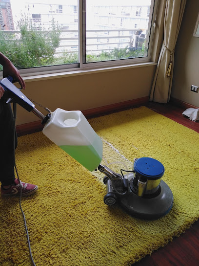 Cleaning Deep Limpieza y Sanitizacion de Alfombras y Pisos Chillán