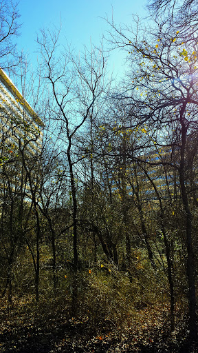 Health Insurance Agency «Blue Cross and Blue Shield of Texas», reviews and photos