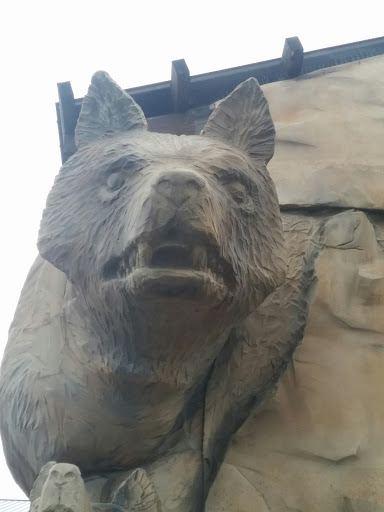 Resort «Great Wolf Lodge», reviews and photos, 100 Great Wolf Dr, Grapevine, TX 76051, USA