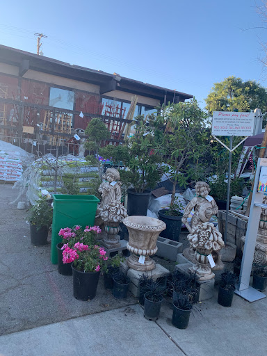 Plant Nursery «San Gabriel Nursery & Florist», reviews and photos, 632 S San Gabriel Blvd, San Gabriel, CA 91776, USA