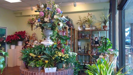 Florist «Marco Polo Florist», reviews and photos, 17390 Preston Rd, Dallas, TX 75252, USA