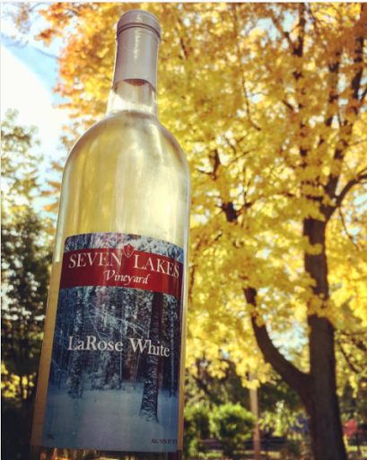 Winery «Seven Lakes Vineyard», reviews and photos, 1111 Tinsman Rd, Fenton, MI 48430, USA