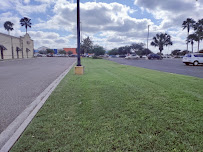 Green Garden Lawn Care Service - Photo 6 - Car repair in , Brownsville