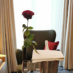 Photo n°5 de l'avis de Peer.. fait le 25/09/2020 à 21:51 sur le  Romantik Hotel Waldschlösschen à Schleswig