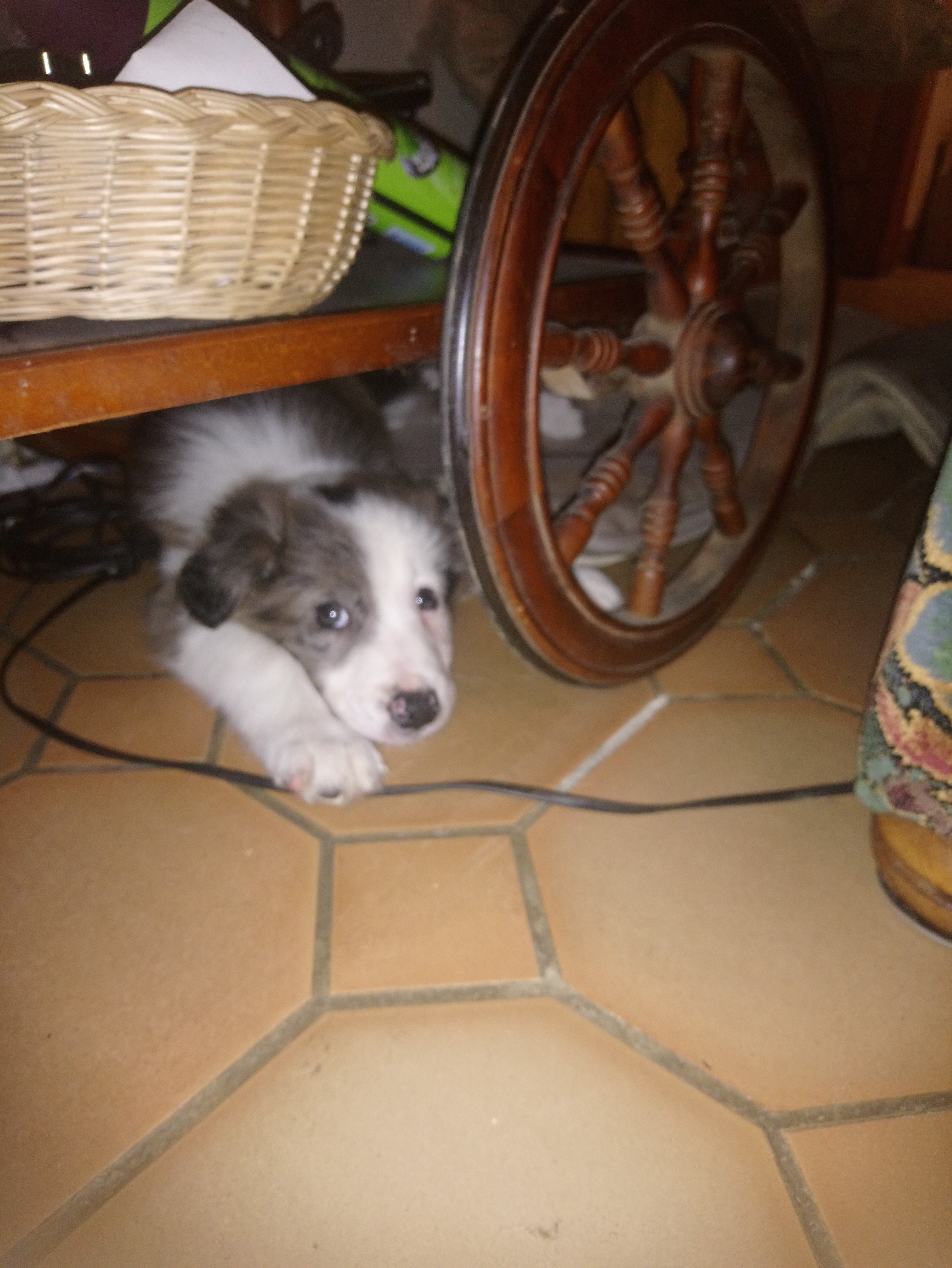 Photo n° 1 de l'avis de Duncan.E fait le 03/02/2024 à 22:45