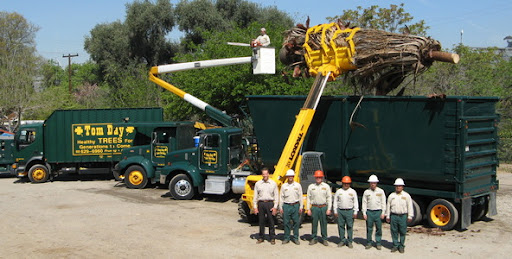 Tree service West Covina