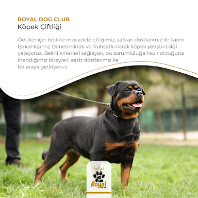 Royal Dog Club; Köpek Eğitim Merkezi, Köpek Oteli, Pansiyonu Polenezköy İstanbul
