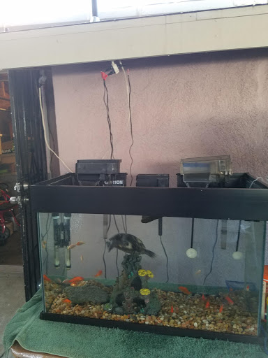 Pet Supply Store «Pet Supreme», reviews and photos, 12823 Foothill Blvd, Sylmar, CA 91342, USA