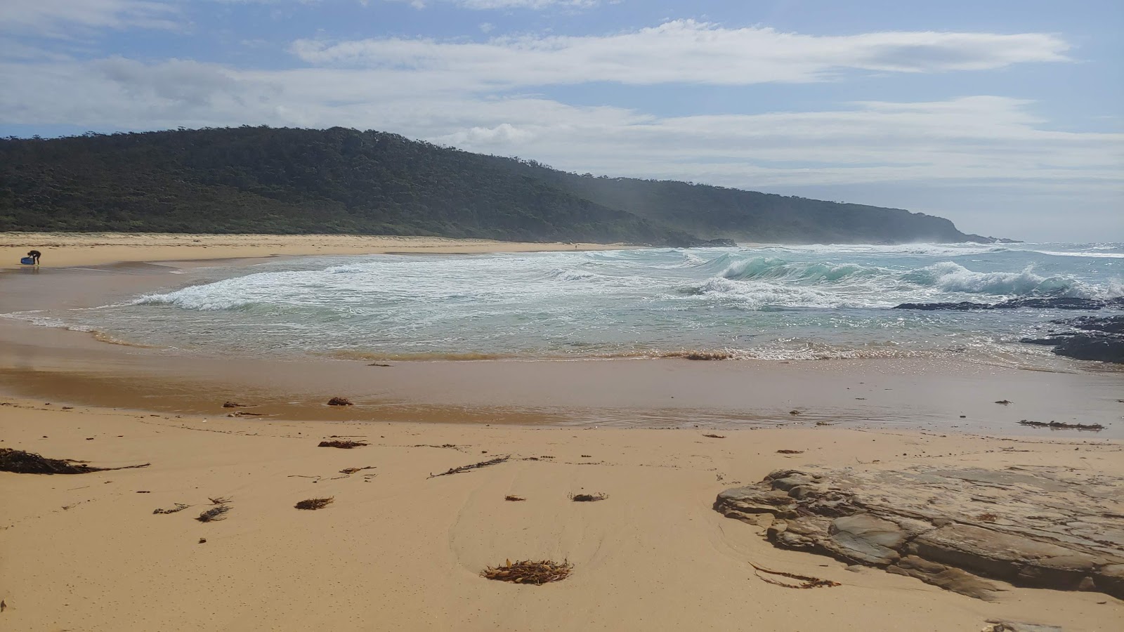 Photo de Picnic Beach zone sauvage