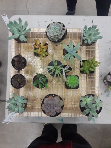 Home Improvement Store «The Home Depot», reviews and photos, 615 Arsenal St, Watertown, MA 02472, USA