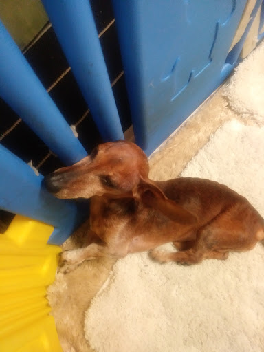 Shopping Mall «Haynes Market Shopping Center», reviews and photos, 3000 Old Alabama Rd, Johns Creek, GA 30022, USA