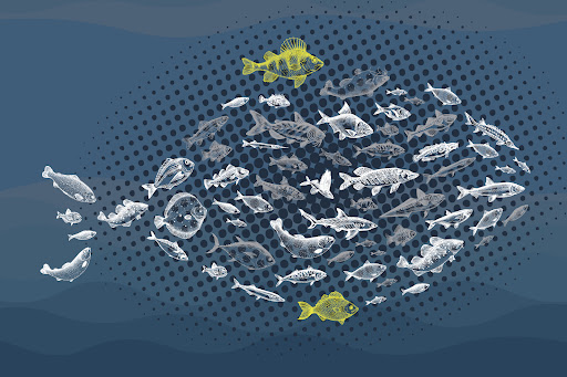 Valdelvira de Servicios Veterinarios en Huércal de Almería