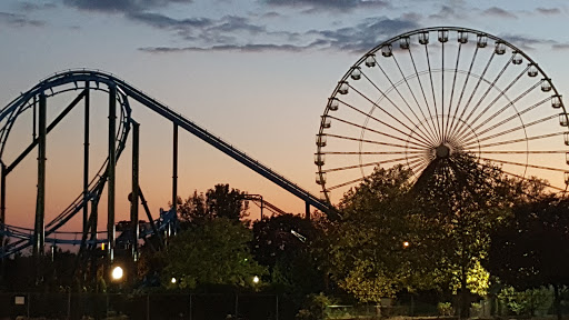 Arena «Freedom Hall», reviews and photos, 937 Phillips Ln, Louisville, KY 40209, USA