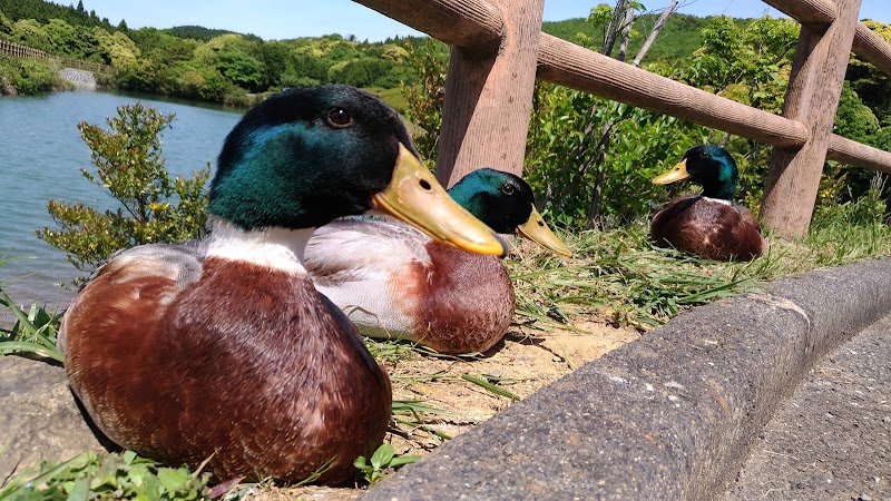菅無田公園 山口県長門市日置中 公園 公園 グルコミ
