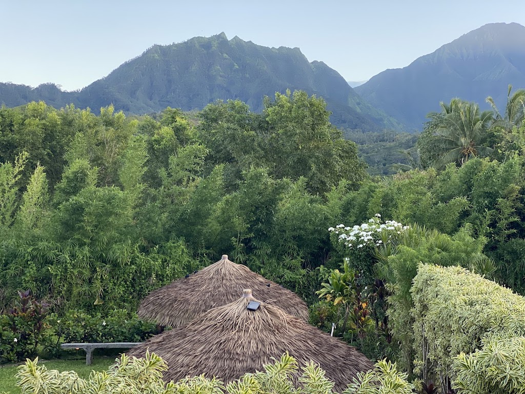 Spa Soul Skin Hanalei 96714