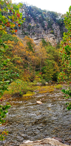 Resort «Smoke Hole Caverns», reviews and photos, 8290 N Fork Hwy, Cabins, WV 26855, USA
