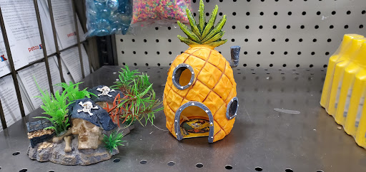 Pet Supply Store «Petco Animal Supplies», reviews and photos, 31419 Pacific Hwy S, Federal Way, WA 98003, USA