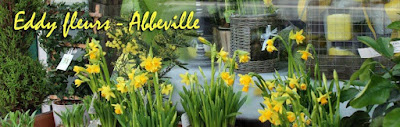 Eddy Fleurs à Abbeville