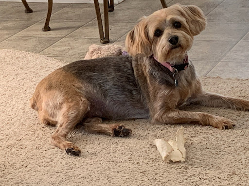 1913 Grant Ave, Philadelphia, PA 19115, USA