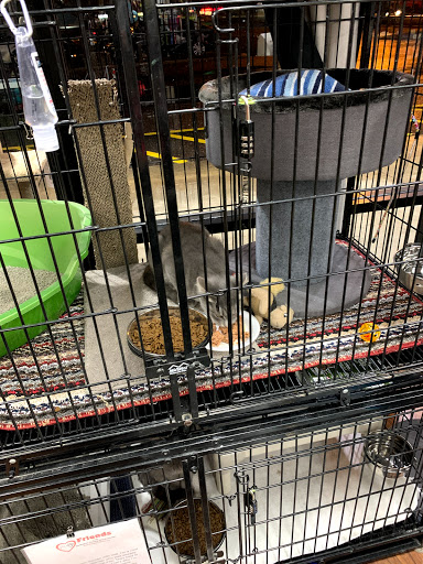 Pet Store «Pet Valu», reviews and photos, 1636 NJ-38, Lumberton, NJ 08048, USA