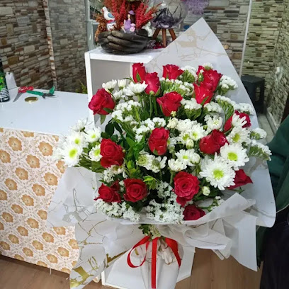 Begonvil çiçekçilik Erzurum