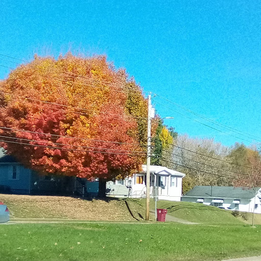 Golf Course «Pine Oaks Golf Course», reviews and photos, 1709 Buffalo Rd, Johnson City, TN 37604, USA