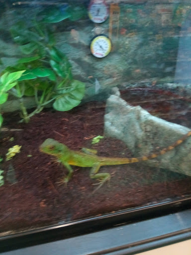 Pet Supply Store «Petco Animal Supplies», reviews and photos, 10 Waterfront Pl, Port Chester, NY 10573, USA