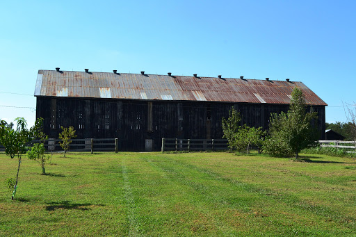 Winery «Castle Hill Winery», reviews and photos, 3650 Lexington Rd, Versailles, KY 40383, USA