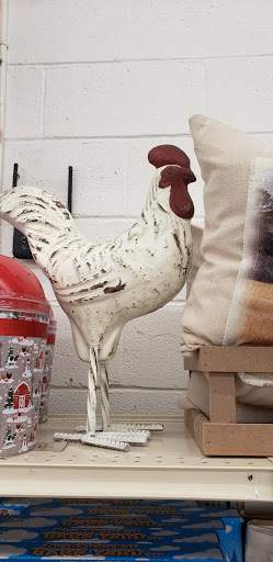 Tractor Supply Co., 58485 Belleview Dr, Plaquemine, LA 70764, USA, 