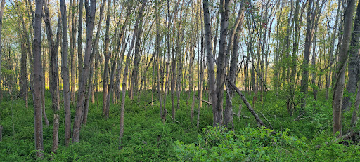 Park «Hillside Park», reviews and photos, 146 Lake Iliff Rd, Newton, NJ 07860, USA