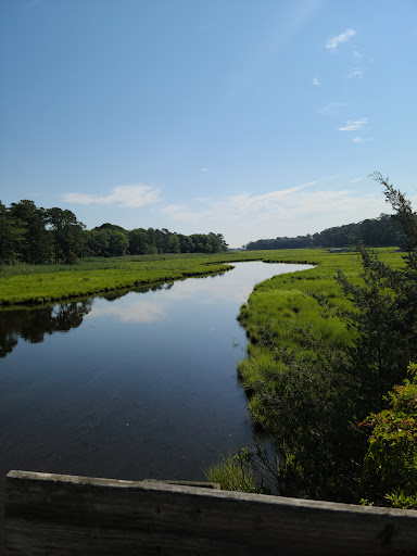 Park «Junction & Breakwater Trailhead», reviews and photos, Junction and Breakwater Trail, Rehoboth Beach, DE 19971, USA