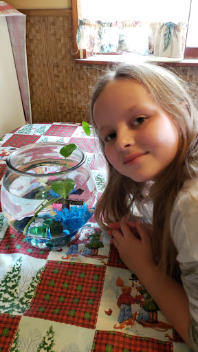 Pet Supply Store «Petco Animal Supplies», reviews and photos, 200 McMahan Blvd, Marion, OH 43302, USA