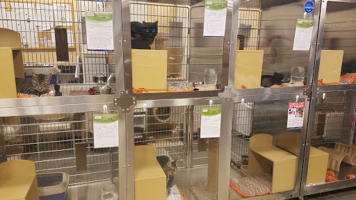 Pet Supply Store «PetSmart», reviews and photos, 6204 W Park Blvd, Plano, TX 75093, USA