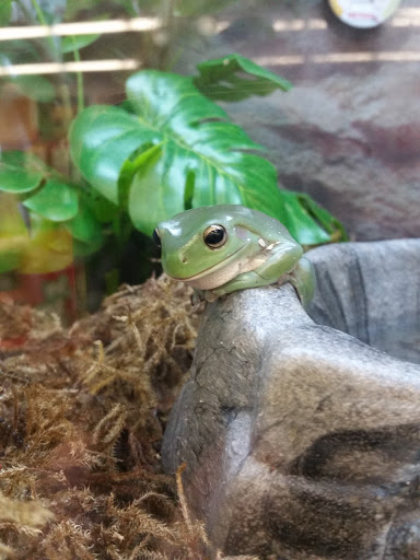 Pet Supply Store «Petco Animal Supplies», reviews and photos, 4751 W 29th St, Greeley, CO 80634, USA