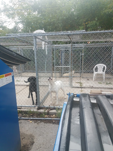 Pet Supply Store «PetSmart», reviews and photos, 7340 W 191st St, Tinley Park, IL 60487, USA