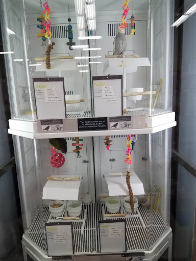 Pet Supply Store «Petco Animal Supplies», reviews and photos, 30 Veterans Memorial Hwy, Commack, NY 11725, USA