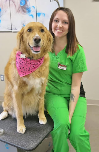 Boxers Meds & Fixits image