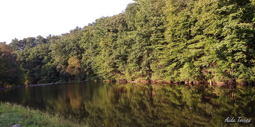 Park «Lykens Glen Park», reviews and photos, 706 Park View Rd, Lykens, PA 17048, USA