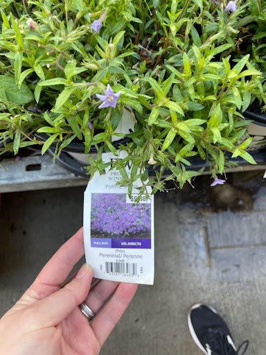 Home Improvement Store «The Home Depot», reviews and photos, 5410 Perkiomen Ave, Reading, PA 19606, USA