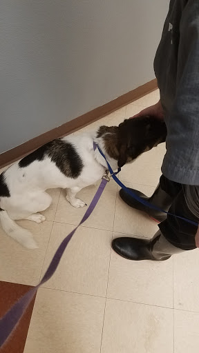 Pet Supply Store «PetSmart», reviews and photos, 10697 E US Hwy 36, Avon, IN 46123, USA