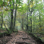 Photo n° 2 de l'avis de Virg.n fait le 29/10/2019 à 10:31 pour Les Pierres Jaumâtres à Toulx-Sainte-Croix
