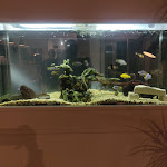 Photo n°9 de l'avis de Luís.i fait le 11/03/2019 à 21:53 sur le  Água d'Alma Hotel à Foz do Arelho