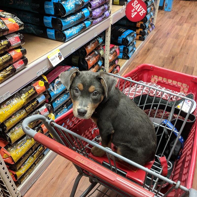 Pet Supermarket