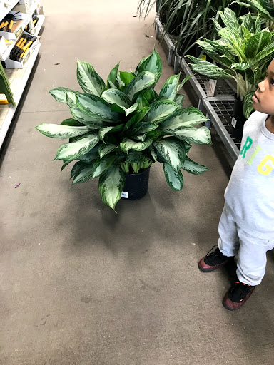 Home Improvement Store «Menards», reviews and photos, 6800 Wayzata Blvd, Golden Valley, MN 55426, USA