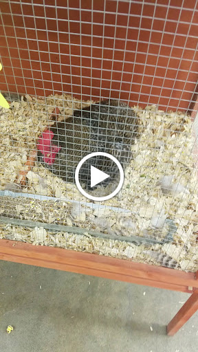 Department Store «Rural King», reviews and photos, 1800 S Ohio St, Martinsville, IN 46151, USA