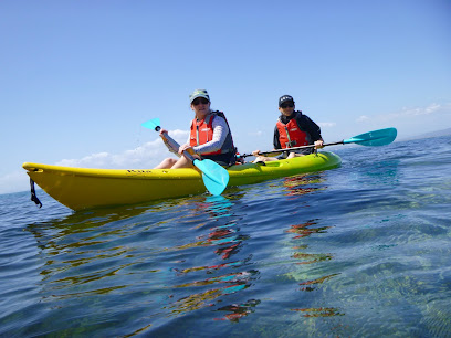 KG Kayaks, Kayak Tours, Bay of Plenty,