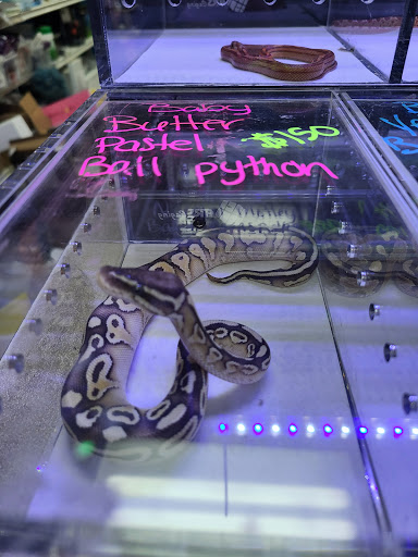 Pet Supply Store «Tropical World Pets», reviews and photos, 8444 Watson Rd, Webster Groves, MO 63119, USA