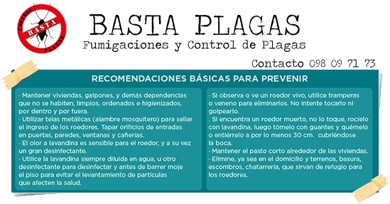 BASTA PLAGAS - Nueva Helvecia