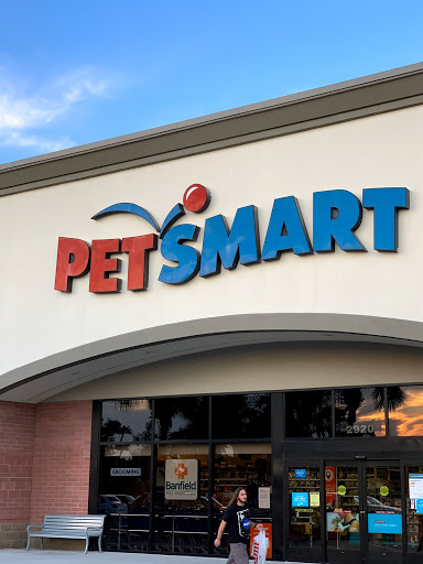 Department Store «Target», reviews and photos, 2900 Little Rd, Trinity, FL 34655, USA