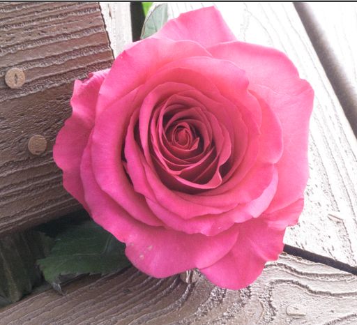 Florist «Variety Florist», reviews and photos, 45 2nd Ave, Bay Shore, NY 11706, USA